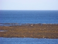 2013-10-05-120851_2326
