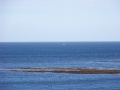 2013-10-05-121018_2329